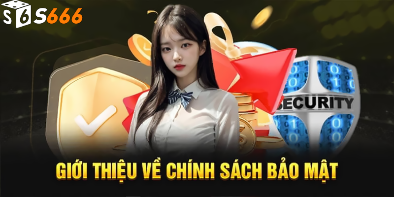 Tìm hiểu về Chính Sách Bảo Mật s666 plus